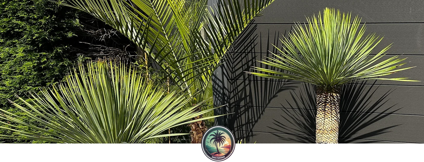 Logo Gouz Paradise