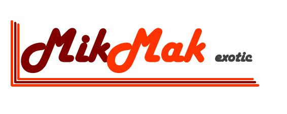 Logo MIKMAK